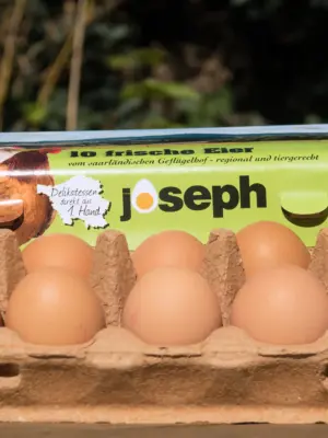 Frische Freilandeier Größe L in 10er Kartonverpackung