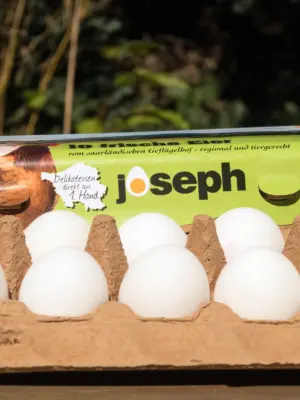 Frischeier Größe L Bodenhaltung in 10er Kartonverpackung