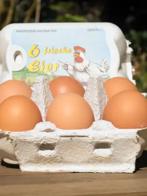 Frische Freilandeier Größe XL in 6er Kartonverpackung