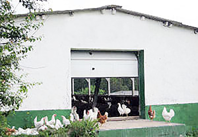 Hühnerstall von Geflügelhof Lorson in Differten - JOSEPH Der Geflügelhof / Delikatessnudeln