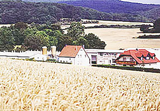 Hühnerstall von Geflügelhof Andres in Mendig